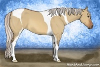 Horse Color:Silver Bay Dun Tobiano