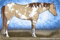 Horse Color:White Spotted Classic Champagne Dun Appaloosa 