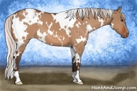 Horse Color:White Spotted Silver Bay Dun Varnish