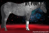 Horse Color:Black Tobiano 