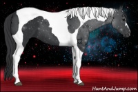 Horse Color:Black Tobiano 