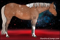 Horse Color:Silver Bay Tobiano