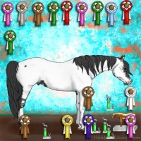 Horse Color:Black Appaloosa