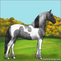 Horse Color:Blue Roan Tobiano 