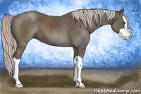 Horse Color:Silver Black Splash 