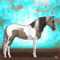 Horse Color:Liver Red Dun Tobiano 
