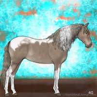 Horse Color:Liver Red Dun Tobiano 