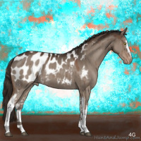 Horse Color:White Spotted Liver Red Dun Appaloosa Brindle 