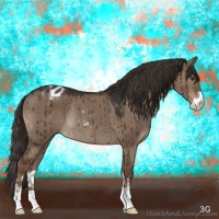 Horse Color:Liver Red Dun Sabino Appaloosa Rabicano 