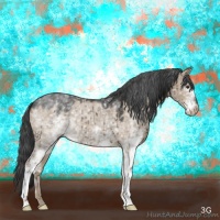 Horse Color:White Spotted Liver Red Dun