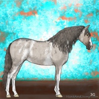 Horse Color:White Spotted Liver Red Dun Roan