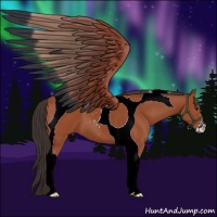 Horse Color:Bay Sabino Tobiano