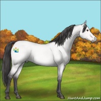 Horse Color:Platinum Buckskin Roan Dun 