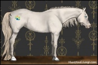 Horse Color:Perlino Roan 
