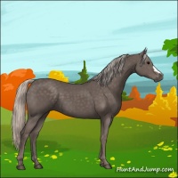 Horse Color:Silver Black 