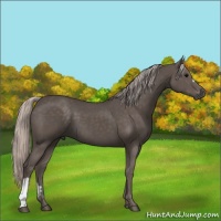 Horse Color:Silver Black 