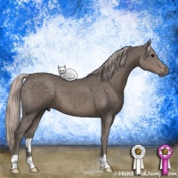 Horse Color:Silver Black