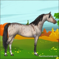 Horse Color:Bay Roan Dun Brindle