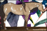 Horse Color:Gray White Spotted Liver Red Dun Rabicano
