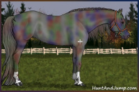 Horse Color:Nacre Black 