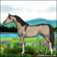 Horse Color:Liver Red Dun 