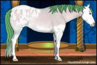 Horse Color:Watercolor Bay Onyx Splash Appaloosa Rabicano 
