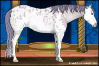 Horse Color:Watercolor Bay Onyx Splash Appaloosa Rabicano 