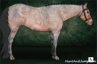 Horse Color:Brown Ice Roan 