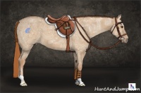 Horse Color:Red Dun Ice 