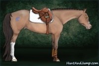 Horse Color:Sable Champagne 