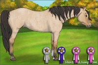 Horse Color:Bay Roan Dun Sabino 