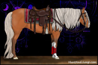 Horse Color:Silver Bay 