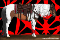 Horse Color:Bay Tobiano 