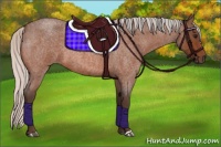 Horse Color:Silver Bay Roan 