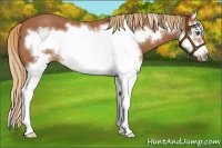 Horse Color:Chestnut Splash Frame 