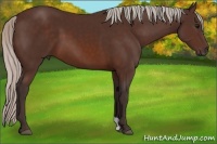 Horse Color:Silver Brown 