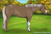 Horse Color:Silver Smoky Black 