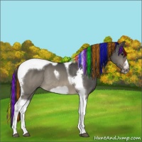 Horse Color:Painted Brown Dun Tobiano Frame Rabicano