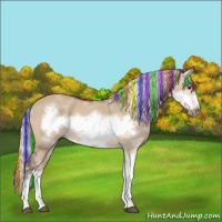 Horse Color:Painted Silver Brown Dun Sabino Frame Rabicano