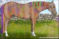 Horse Color:Painted Nacre Chestnut 