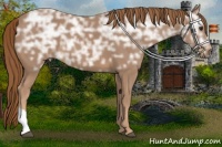 Horse Color:Chestnut Ice 