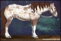 Horse Color:Red Onyx Ice 