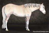 Horse Color:Silver Classic Champagne Onyx Splash 