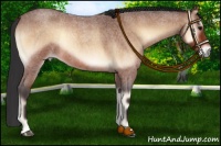 Horse Color:Bay Roan Onyx 