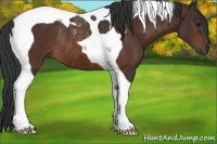 Horse Color:Brown Tobiano Rabicano 