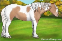 Horse Color:Silver Sable Champagne Tobiano 