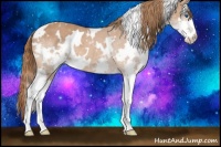 Horse Color:White Spotted Chestnut Splash