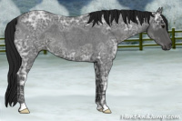 Horse Color:Gray Blue Ice Roan