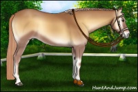Horse Color:Red Onyx 