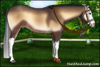 Horse Color:Brown Onyx Splash Rabicano 
